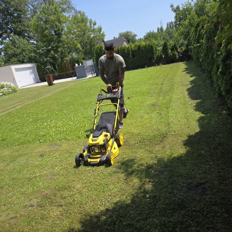 Professionelle Rasenpflege in Wien inklusive Mähen und Pflege von Grünflächen rund um Gebäude