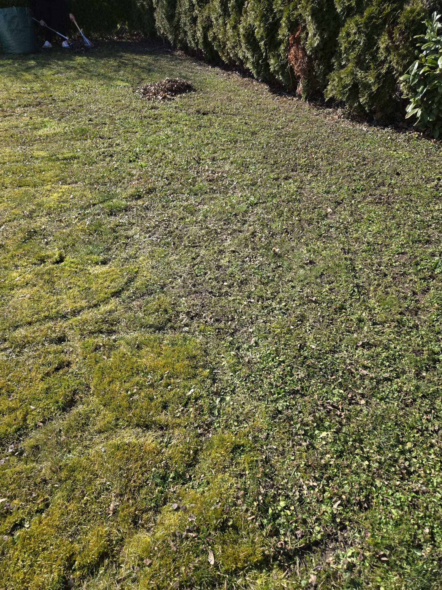 Gartengestaltung Wien – Garten gepflegt