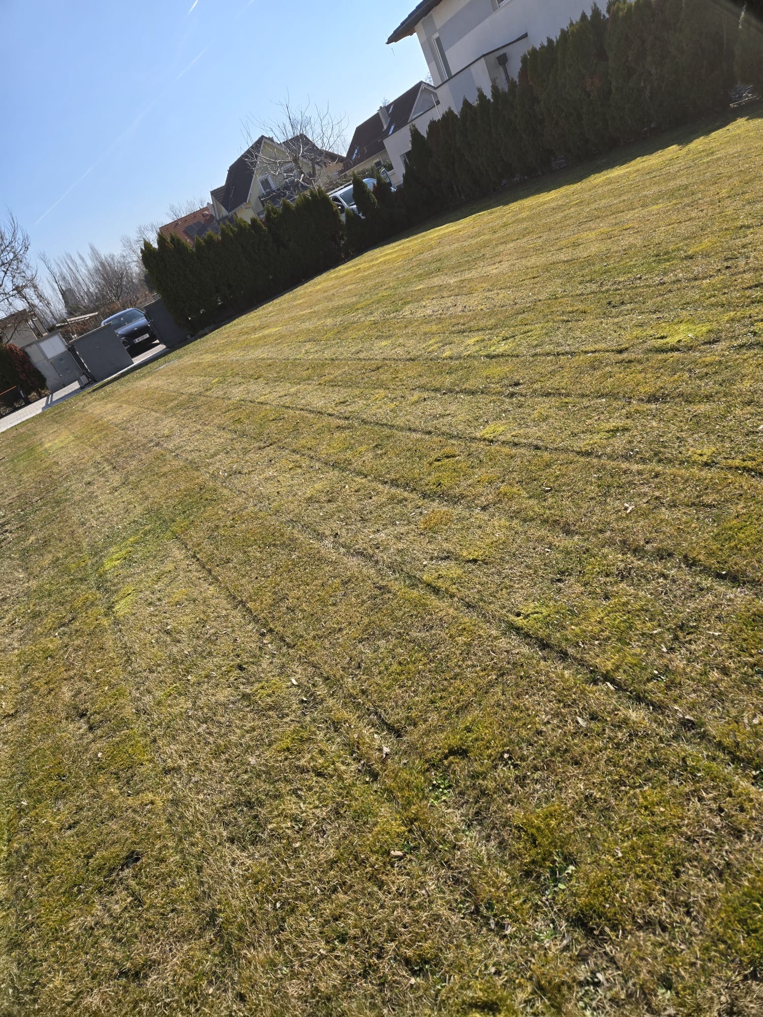 Gartengestaltung Wien – Gehölzschnitt
