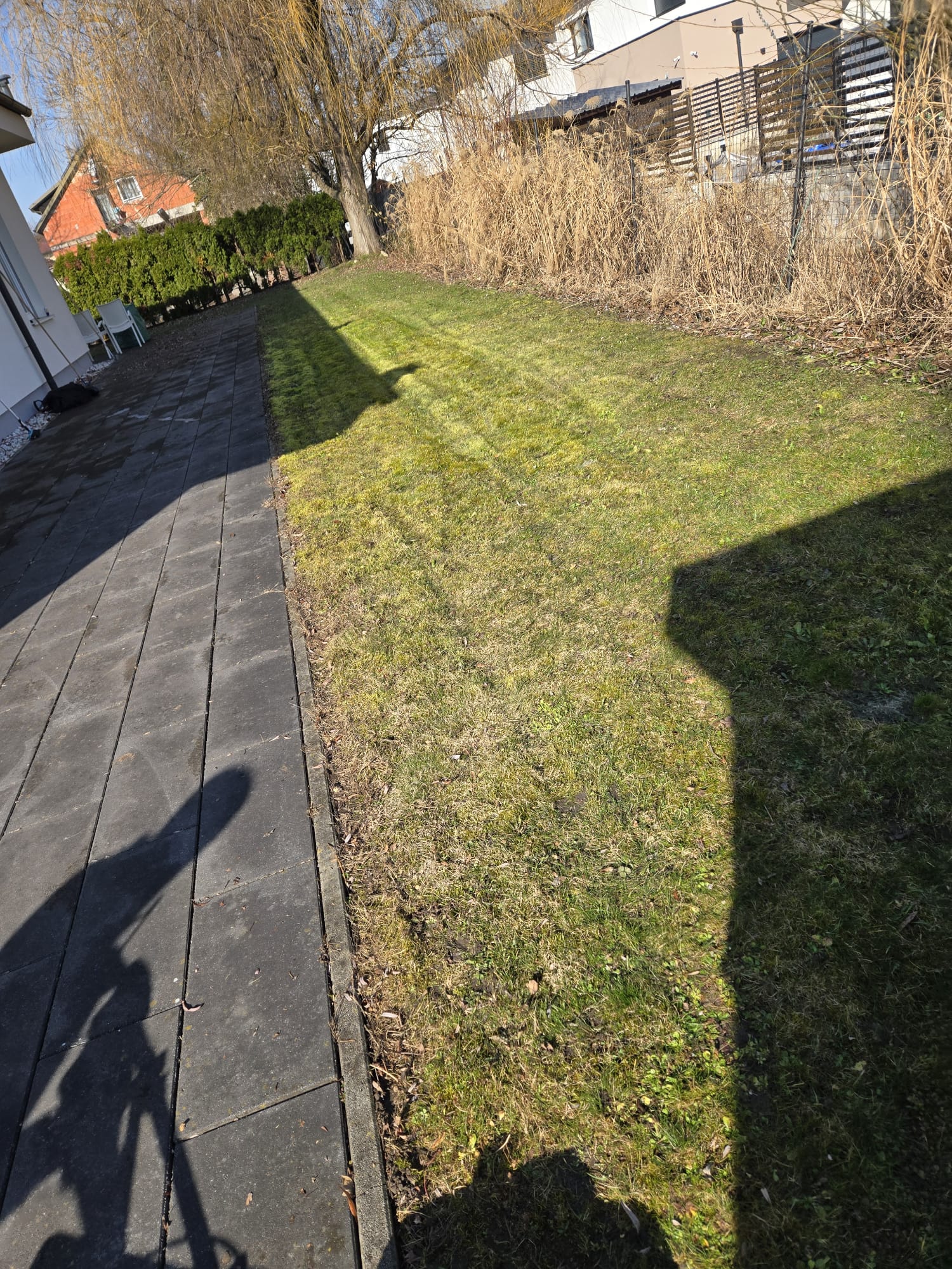 Gartengestaltung Wien – Außenanlage gepflegt