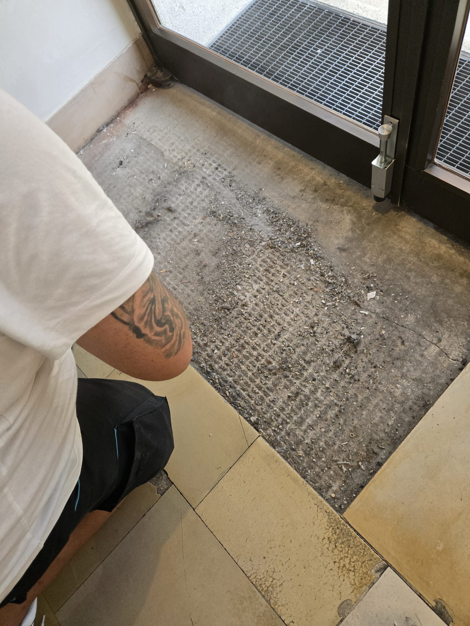 Gebäudereinigung – gereinigtes Objekt in Wien