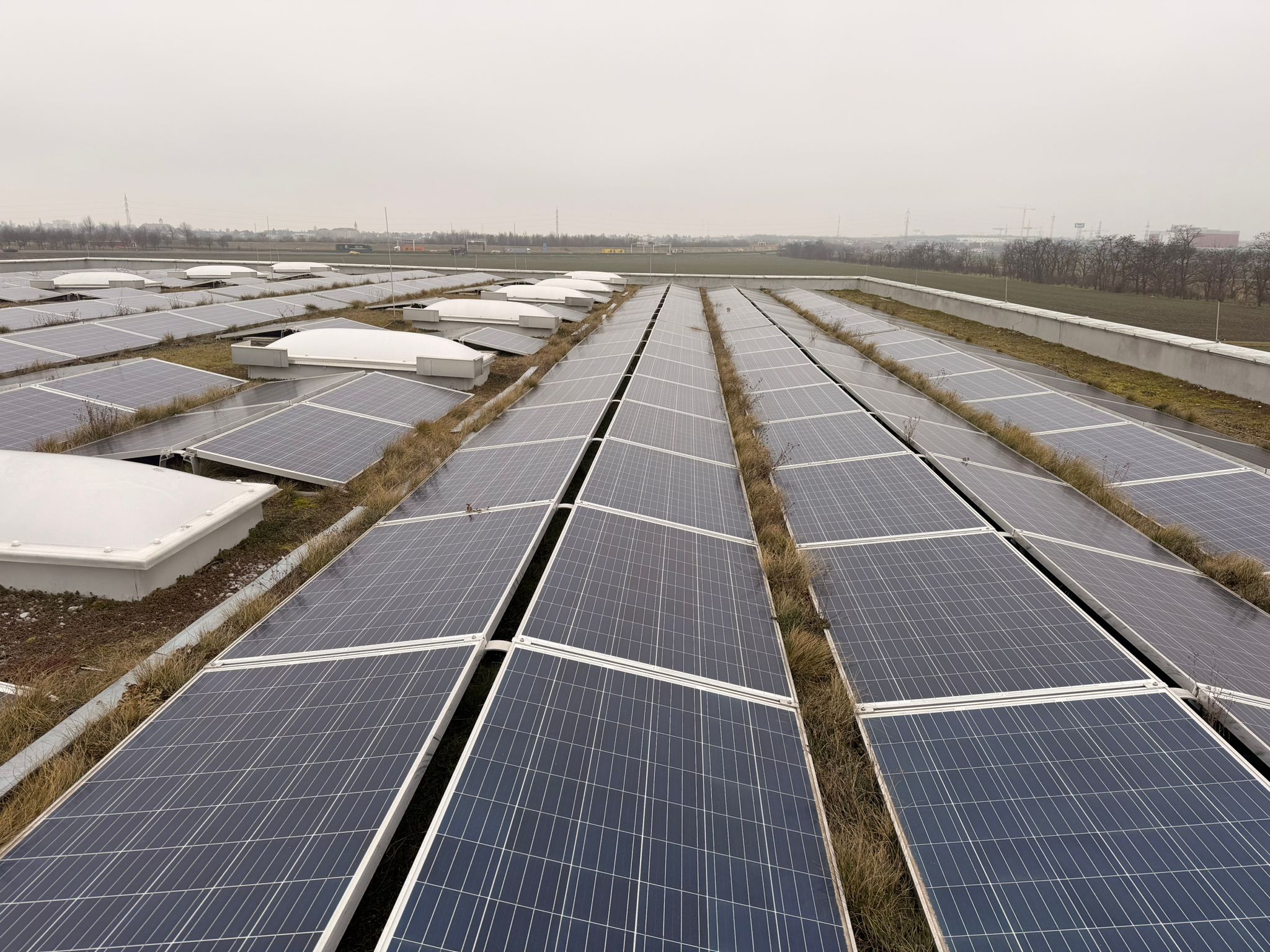 Solarreinigung – gereinigte Solarpanele in Wien