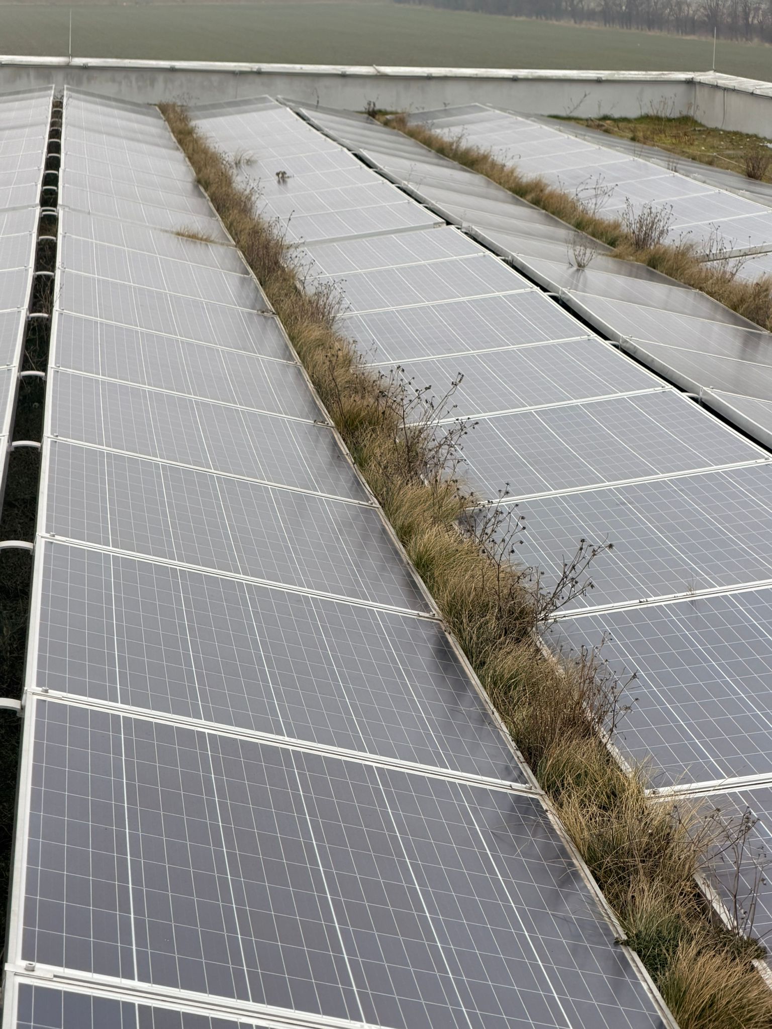 Solarreinigung Wien – Photovoltaik Reinigung