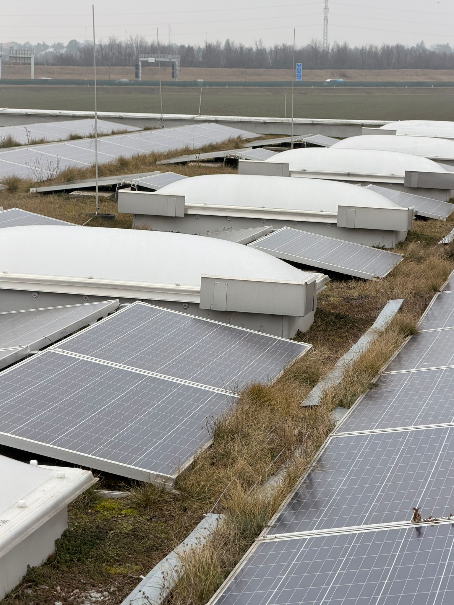 Solarreinigung Wien – Solarpanelen nach Reinigung